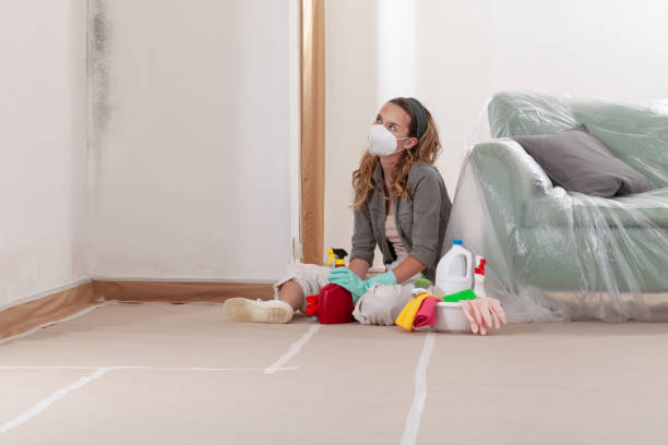 Reliable Mold Inspection contractor in Ledgewood, NJ by WQB Mold Removal